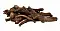MR.Crisper Лакомство для грызунов корень одуванчика #3
