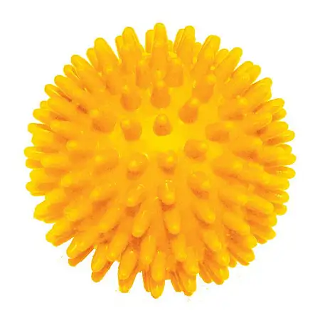 Купить Зооник игрушка для собак "мяч массажный №2" цвет в ассортименте